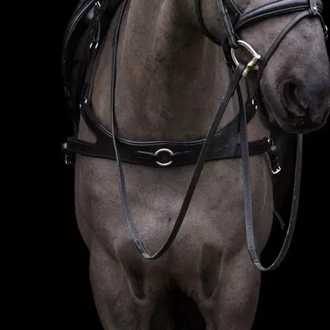 EcoRider Freedom Breastplate 5 EcoRider Freedom Breastplate - Image 3