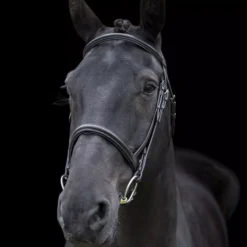 EcoRider Classic Comfort Bridle -Exquisite Equestrian Equipment Store eco040 4 3 jpg