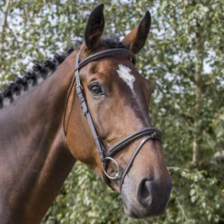 EcoRider Classic Comfort Bridle -Exquisite Equestrian Equipment Store eco040 5 1 1 jpg