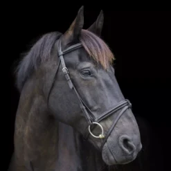EcoRider Classic Comfort Bridle -Exquisite Equestrian Equipment Store eco040 6 1 1 jpg
