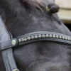 EcoRider Freedom Browband -Exquisite Equestrian Equipment Store eco043 1 jpg