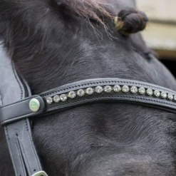 EcoRider Freedom Browband -Exquisite Equestrian Equipment Store eco043 2 jpg