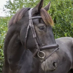 EcoRider Ecosoft Luxe Bridle