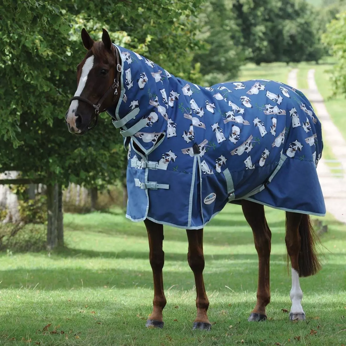 WeatherBeeta ComFiTec Essential Combo Neck Mediumweight 3 WeatherBeeta ComFiTec Essential Combo Neck Mediumweight