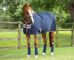 Premier Equine PremTex Horse Cooler Rug 41 Premier Equine PremTex Horse Cooler Rug -Exquisite Equestrian Equipment Store facebook premtex cooler navy 8 jpg
