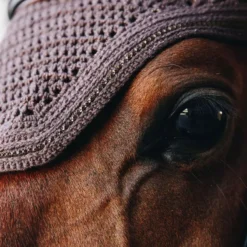 Kentucky Horsewear Wellington Horse Fly Veil Sparkling