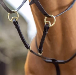 LeMieux Running Martingale -Exquisite Equestrian Equipment Store g0a7361 1 jpg
