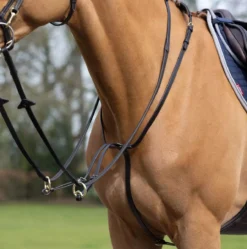 LeMieux Running Martingale -Exquisite Equestrian Equipment Store g0a7444 4 jpg