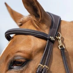 LeMieux Work Bridle -Exquisite Equestrian Equipment Store g0a7510 2