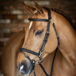 LeMieux Work Bridle -Exquisite Equestrian Equipment Store g0a7546 1
