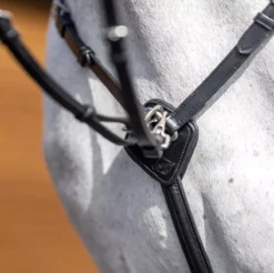 LeMieux Breastplate (D-Ring Attachment) -Exquisite Equestrian Equipment Store g0a7570 1 jpg