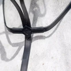LeMieux Running Martingale -Exquisite Equestrian Equipment Store g0a7638 3 jpg