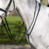 LeMieux Running Martingale -Exquisite Equestrian Equipment Store g0a7666 3 jpg