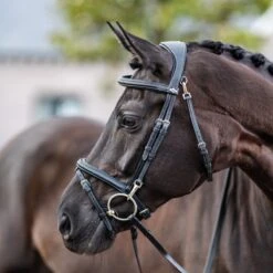 LeMieux Work Bridle -Exquisite Equestrian Equipment Store g0a7871 1