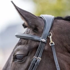 LeMieux Work Bridle -Exquisite Equestrian Equipment Store g0a7900 4