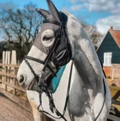 Fenwick Liquid Titanium Mask With Ears - Velcro -Exquisite Equestrian Equipment Store greymaskears 1024x1024 2x 1 4 jpg