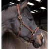John Whitaker Valencia Fancy Stitch Leather Headcollar -Exquisite Equestrian Equipment Store hc052 2 650x867 1 jpg