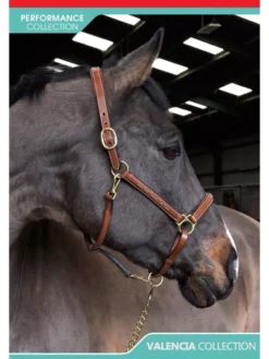 John Whitaker Valencia Fancy Stitch Leather Headcollar