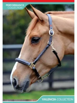 John Whitaker Valencia Fancy Stitch Leather Headcollar -Exquisite Equestrian Equipment Store hc052 3 650x867 1 jpg