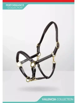 John Whitaker Valencia Fancy Stitch Leather Headcollar -Exquisite Equestrian Equipment Store hc052 5 650x867 1 hav jpg