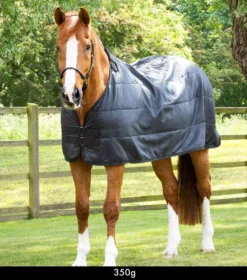 Premier Equine 350g Horse Rug Liner -Exquisite Equestrian Equipment Store horse rug liner black 1 1 10 jpg