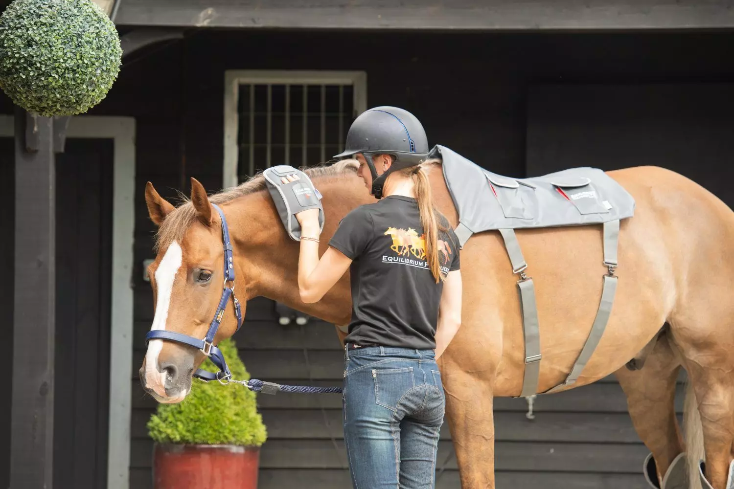 Equilibrium Hotspot Massage Combo 3 Equilibrium Hotspot Massage Combo