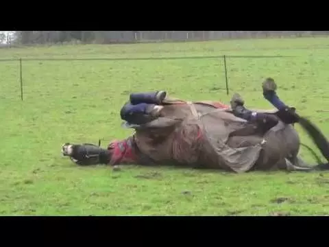 Equilibrium Equi-Chaps Hardy Chaps 19 Equilibrium Equi-Chaps Hardy Chaps - Image 17