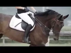 EGO7 Orion Tall Boots 38 EGO7 Orion Tall Boots -Exquisite Equestrian Equipment Store hqdefault 2 32 5 jpg