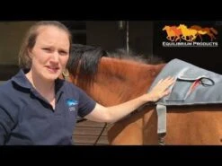Equilibrium Massage Pad -Exquisite Equestrian Equipment Store hqdefault 2 8