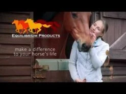 Equilibrium Massage Pad -Exquisite Equestrian Equipment Store hqdefault 3 2