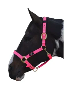 Hy Deluxe Padded Head Collar -Exquisite Equestrian Equipment Store hy deluxe padded head collar hot pink 3 jpg