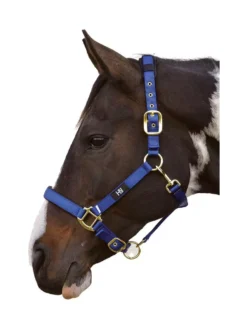 Hy Deluxe Padded Head Collar -Exquisite Equestrian Equipment Store hy deluxe padded head collar navy 2 jpg