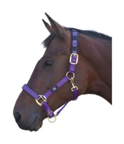 Hy Deluxe Padded Head Collar -Exquisite Equestrian Equipment Store hy deluxe padded head collar purple jpg