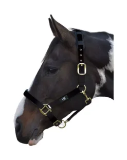 Hy Deluxe Padded Head Collar -Exquisite Equestrian Equipment Store hy deluxe padded headcollar black 3 jpg