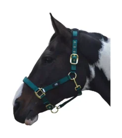 Hy Deluxe Padded Head Collar -Exquisite Equestrian Equipment Store hy deluxe padded headcollar bottle green jpg