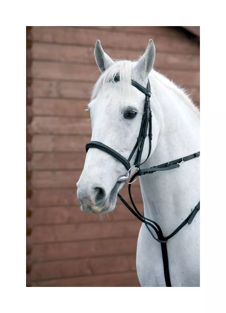 Hy Market Harborough 3 Hy Market Harborough