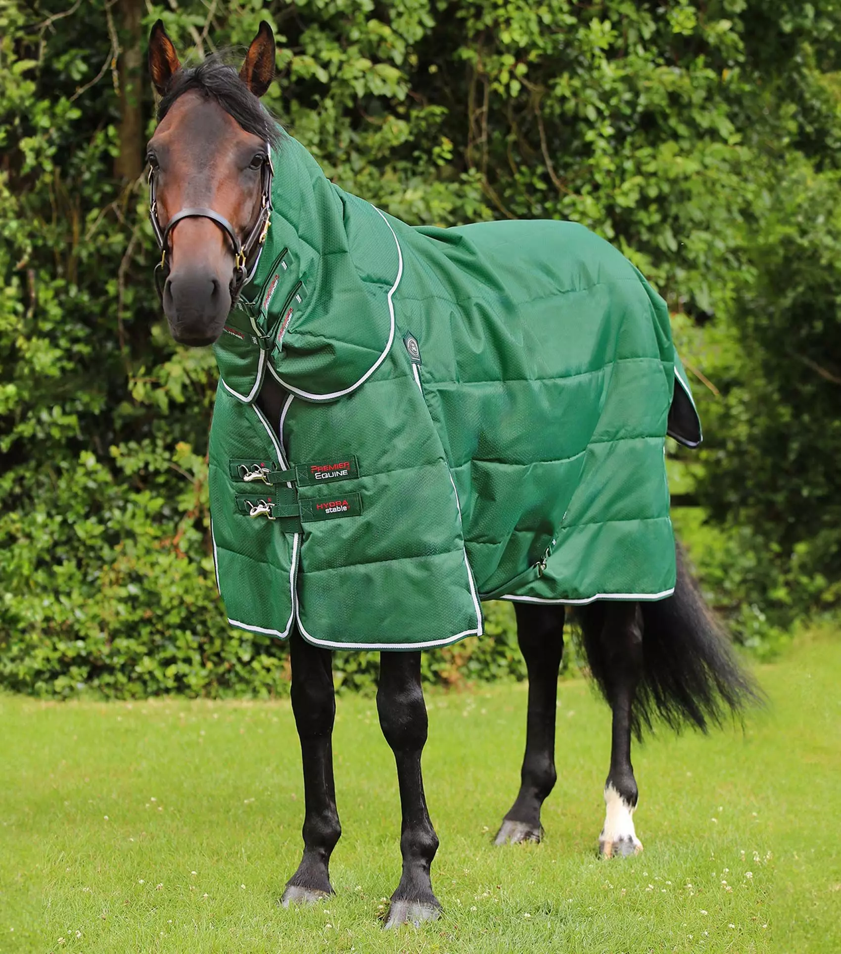 Premier Equine Hydra 200g Stable Rug With Neck Cover 15 Premier Equine Hydra 200g Stable Rug With Neck Cover - Image 13
