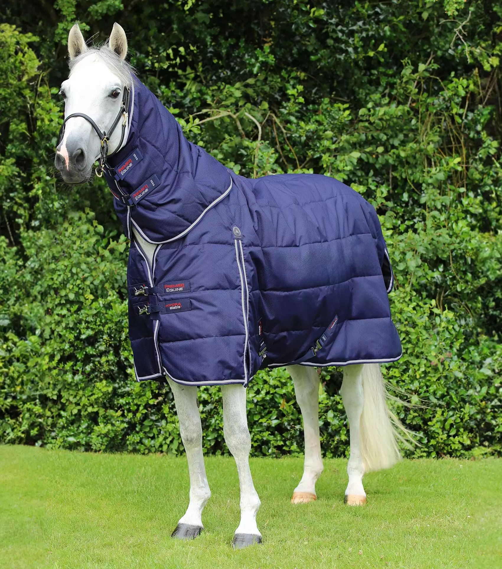 Premier Equine Hydra 200g Stable Rug With Neck Cover 9 Premier Equine Hydra 200g Stable Rug With Neck Cover - Image 7