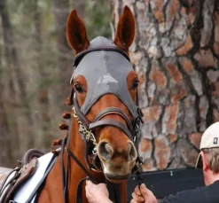 Fenwick Liquid Titanium Mask Velcro - No Ears 12 Fenwick Liquid Titanium Mask Velcro - No Ears -Exquisite Equestrian Equipment Store img 1505 1024x1024 2x 1 2 jpg