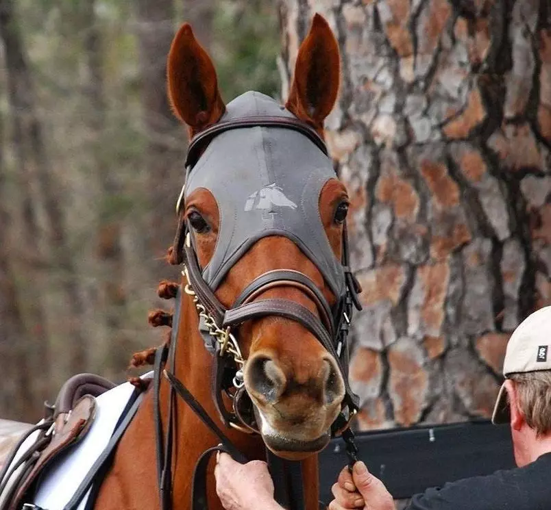 Fenwick Liquid Titanium Mask Velcro - No Ears 6 Fenwick Liquid Titanium Mask Velcro - No Ears - Image 4