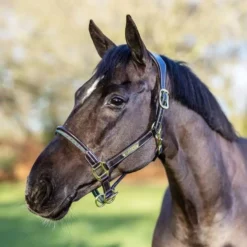 LeMieux Rope Control Headcollar 12 LeMieux Rope Control Headcollar -Exquisite Equestrian Equipment Store it03443 lifestyle ropecontrolheadcollar brown 2 copy 1 2 jpg