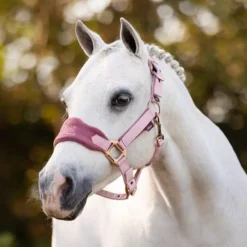 LeMieux Vogue MINI Fleece Headcollar & Leadrope 24 LeMieux Vogue MINI Fleece Headcollar & Leadrope -Exquisite Equestrian Equipment Store it03467 lifestyle minivogueheadcollarandleadrope pinkquartz 1 2 jpg