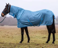 JHL Essential Fly Rug Combo 34 JHL Essential Fly Rug Combo -Exquisite Equestrian Equipment Store jhl essential fly blue 6 jpg