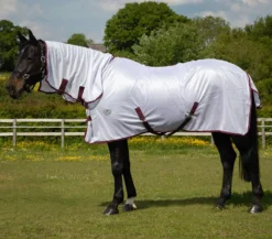JHL Essential Fly Rug Combo 33 JHL Essential Fly Rug Combo -Exquisite Equestrian Equipment Store jhl essential fly white burgundy 11 jpg