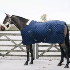 Kentucky Horsewear Stable Rug 200g -Exquisite Equestrian Equipment Store kentucky horsewear stable rug 200g 800x800 1 2 jpg