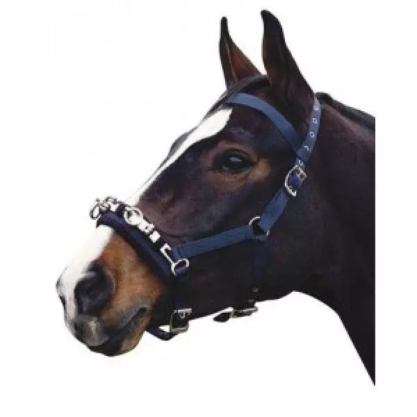 Kincade Coordinate Lunge Cavesson 3 Kincade Coordinate Lunge Cavesson