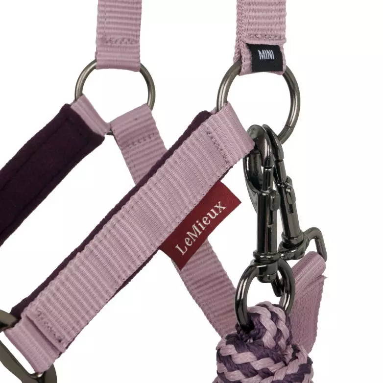 LeMieux Vogue MINI Fleece Headcollar & Leadrope 15 LeMieux Vogue MINI Fleece Headcollar & Leadrope - Image 13