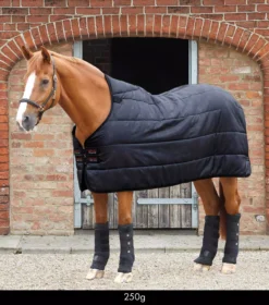 Premier Equine 250g Lucanta Rug Liner 32 Premier Equine 250g Lucanta Rug Liner -Exquisite Equestrian Equipment Store lucanta rug liner 250g 1 5 jpg