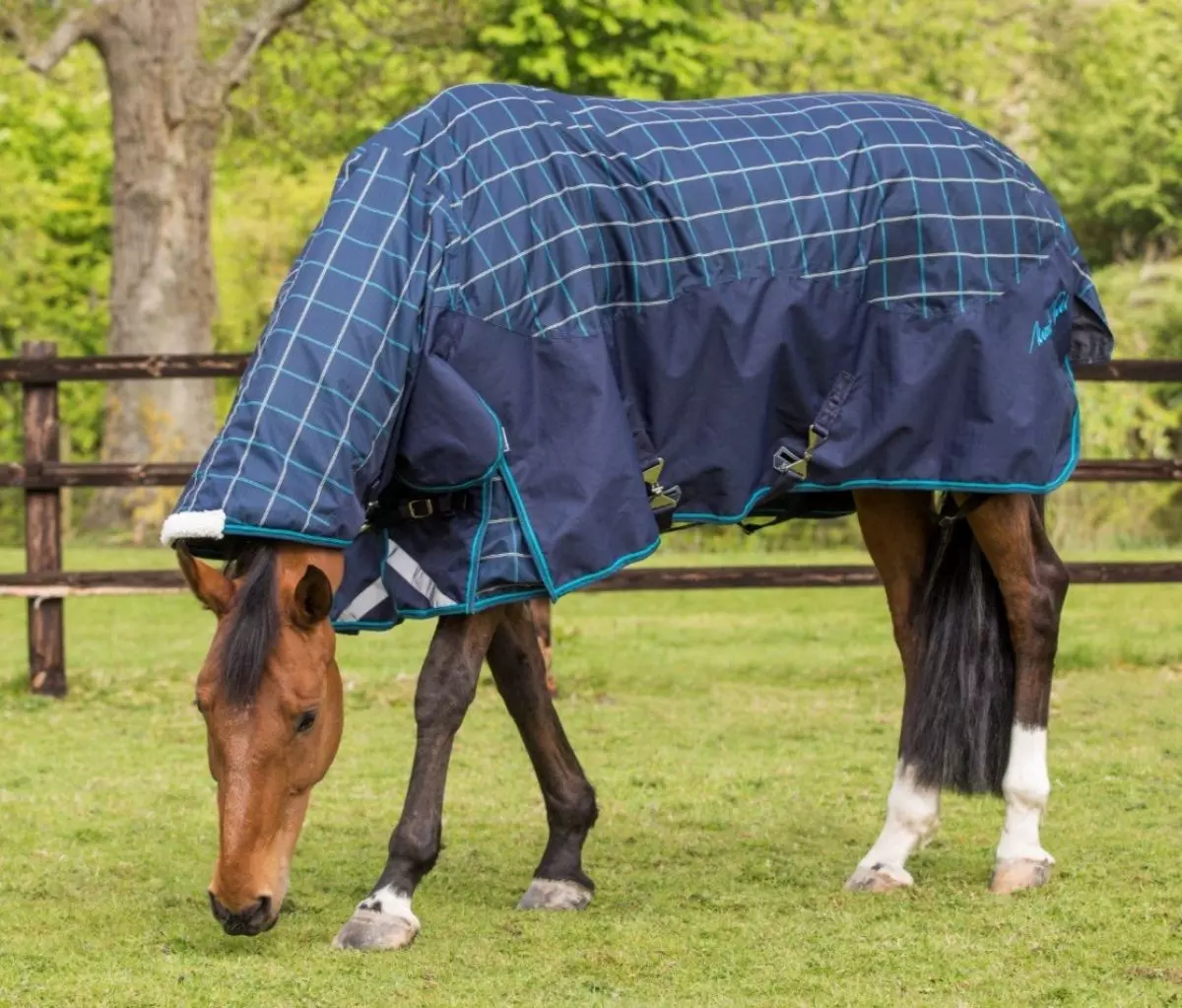 Mark Todd Heavyweight Combo Turnout Rug Plaid 6 Mark Todd Heavyweight Combo Turnout Rug Plaid - Image 4