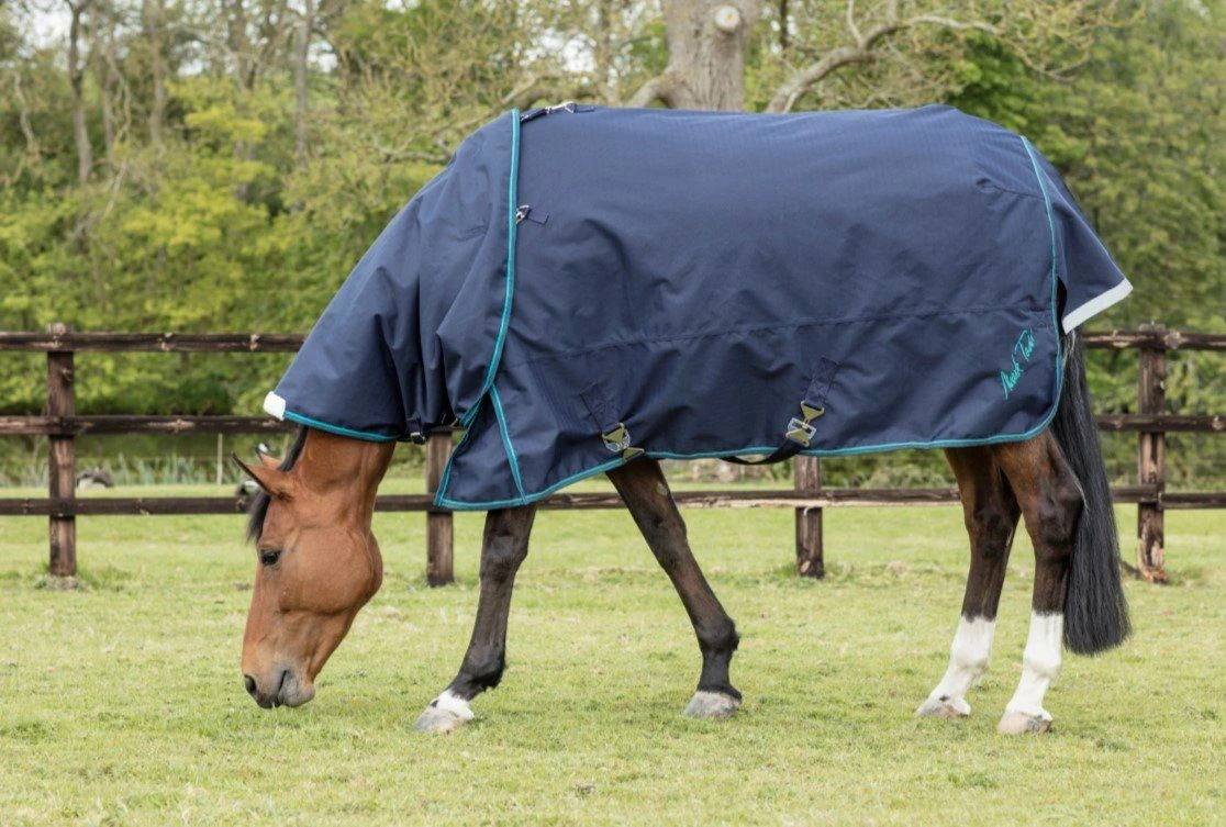 Mark Todd Heavyweight Turnout Rug With Neck Included 4 Mark Todd Heavyweight Turnout Rug With Neck Included - Image 2